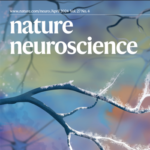 New SPPIN paper in Nature Neuroscience: Population coding in Purkinje cells drives one-shot motor learning.
